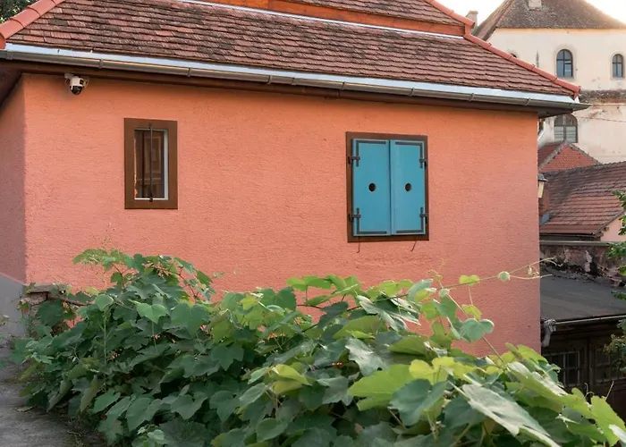 Castelului Boutique-old Town-free Private Parking *